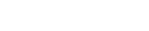Custom Logo 2